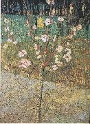 Vincent Van Gogh Flowering almond tree china oil painting artist